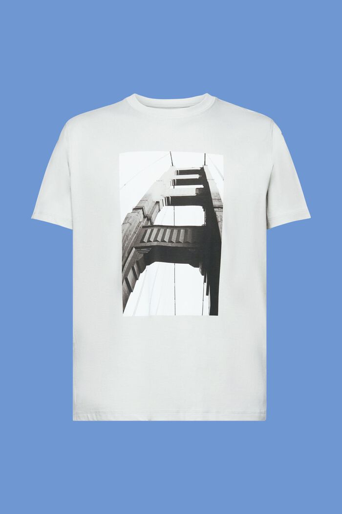 T-Shirt mit Print, 100 % Baumwolle, LIGHT GUNMETAL, detail image number 6