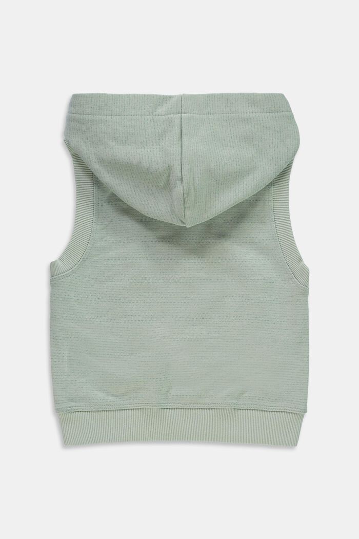 Sweat à capuche sans manches, 100 % coton, LIGHT AQUA GREEN, detail image number 1