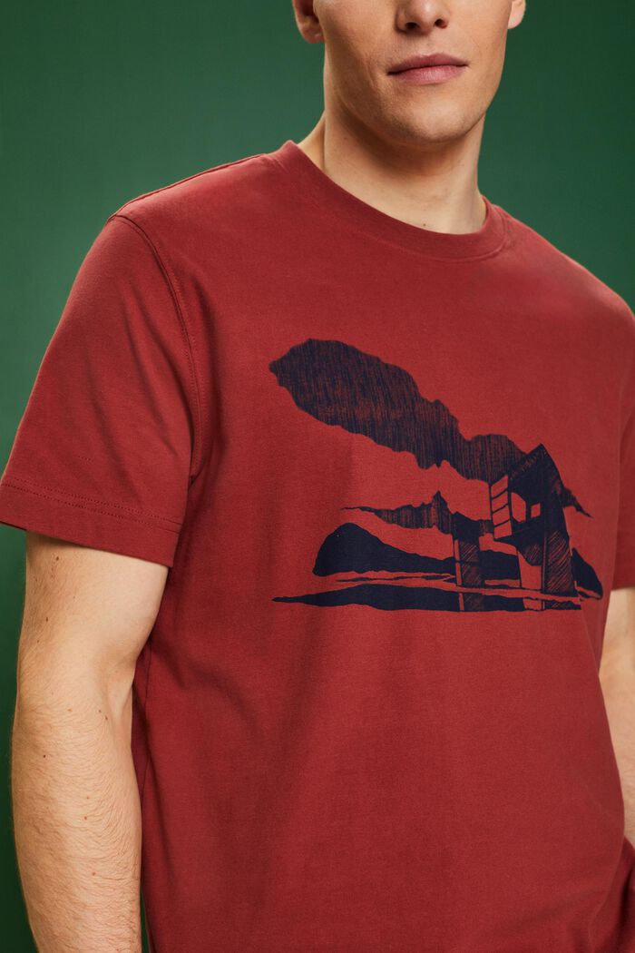 T-shirt à imprimé graphique, TERRACOTTA, detail image number 2