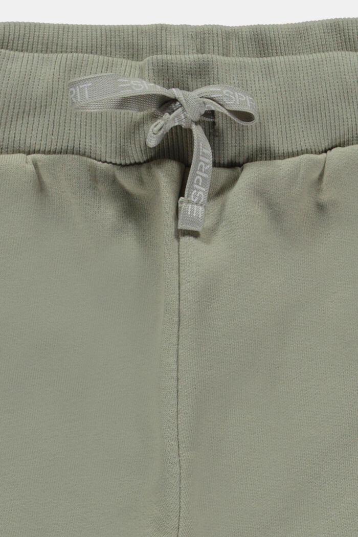 Lot de 2 shorts molletonnés, DUSTY GREEN, detail image number 2