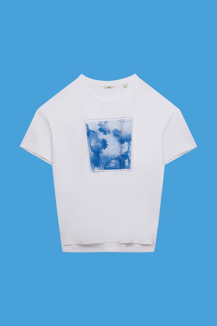 CURVY Baumwoll-T-Shirt mit Print auf der Vorderseite, WHITE, detail image number 0