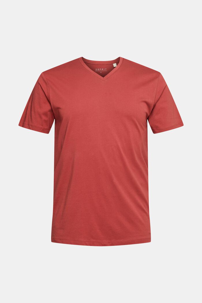 Jersey-T-Shirt mit V-Ausschnitt