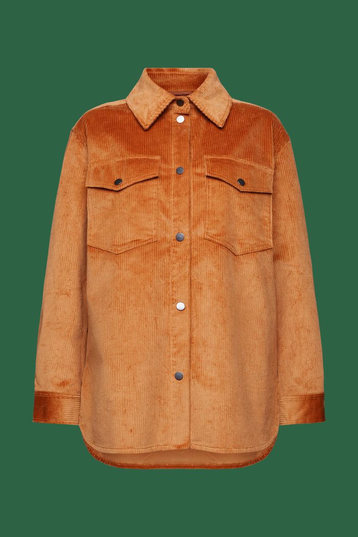 Chemise à col boutonné en velours côtelé, CARAMEL, detail image number 6