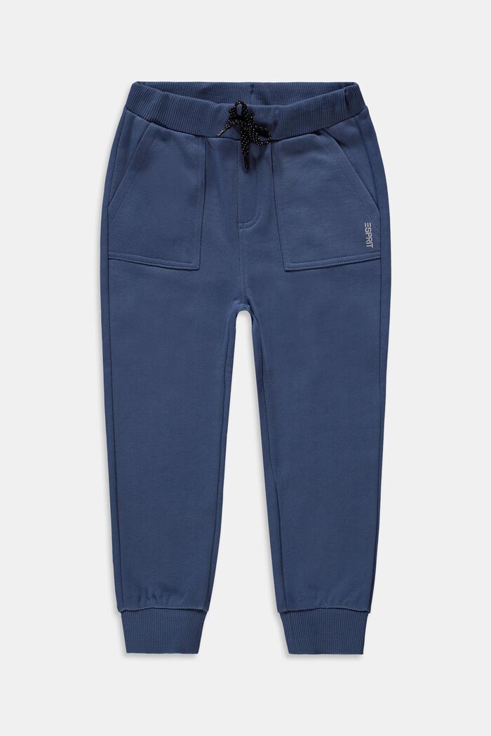 Pantalon de jogging, 100 % coton, GREY BLUE, detail image number 0