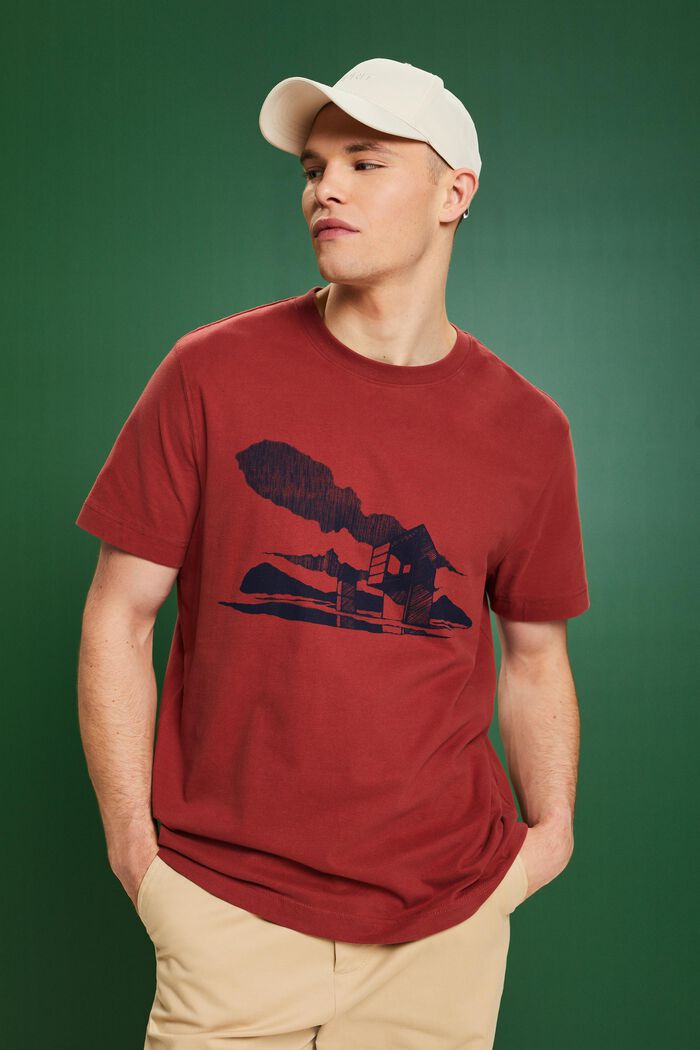 T-shirt à imprimé graphique, TERRACOTTA, detail image number 0