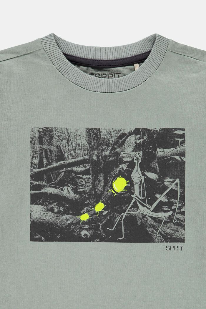 T-shirt imprimé 100 % coton, LIGHT KHAKI, detail image number 2