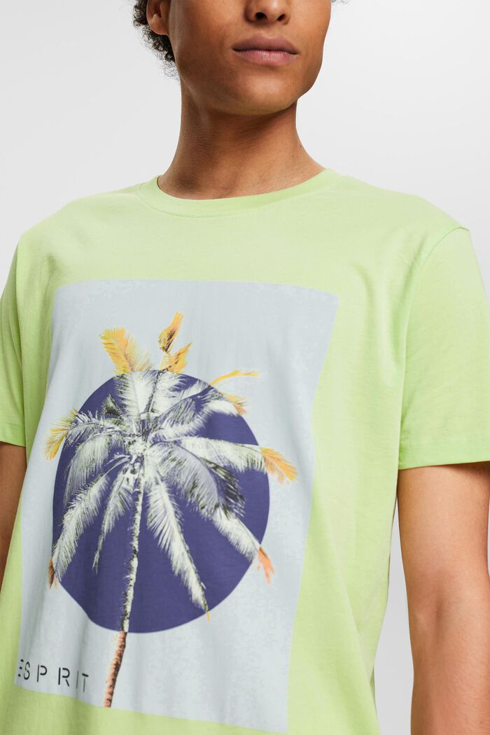 T-shirt en jersey à imprimé, 100 % coton, LIGHT GREEN, detail image number 2