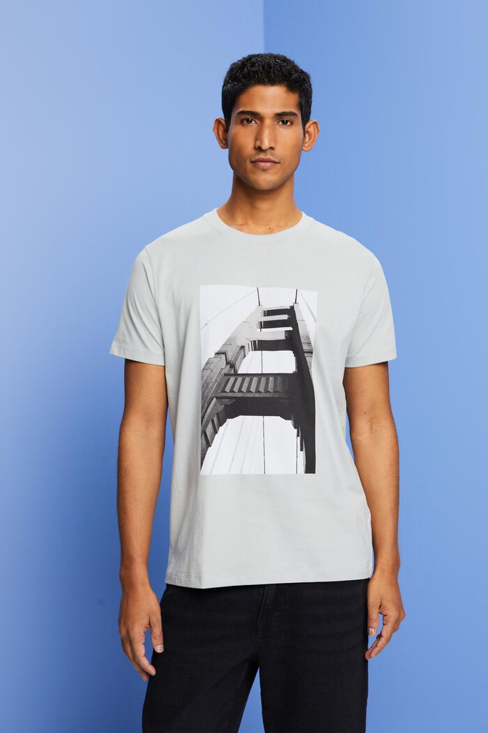 T-Shirt mit Print, 100 % Baumwolle, LIGHT GUNMETAL, detail image number 0