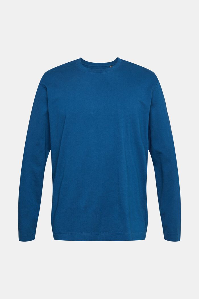 T-shirt à manches longues et col droit, PETROL BLUE, detail image number 2
